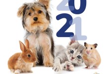 NBCUniversal Owned Television Stations’ Clear The Shelters™