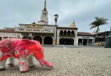 In-Person: Family Friendly Workshop | Light Elephant