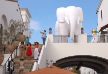 In-Person: Reception | Light Elephant