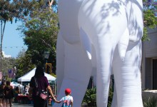 Walkthrough and Artist Talk | Light Elephant