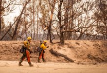 Alisal Fire Increases to 14,500 Acres; FEMA Assistance Granted