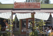 In-Person: Beavers in the Landscape with Dr. Emily Fairfax