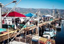 Lobster Season Leads to Santa Barbara Lobster Fest