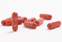 A New Weapon Against Coronavirus?