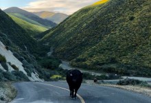 When A Thing Is [Not] Right