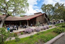 In-Person: November Wine Club Release Event