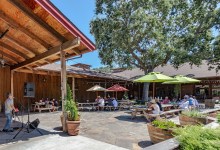 In-Person: Live Music at Zaca Mesa Winery