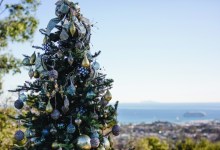 Tree Lighting Festivity