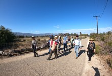In-Person: North Campus Open Space Free Public Nature Walk