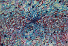 In-Person: Third Studio Studio | Seeing Stars