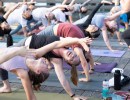 In-Person: Yoga on the Wharf