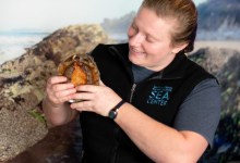 *CANCELED* In-Person: Marine Animal Care and Cutler’s Artisan Spirits *CANCELED*