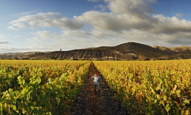 Historic Santa Barbara County Wine Properties Change Hands