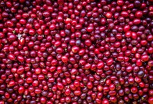 Matt Kettmann’s 2021 in Review