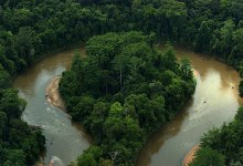 West Papua: An Island in Peril