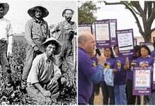 Of Korean Taco Trucks and Racial Equity