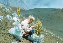 Sherwin J. Carlquist