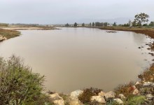 In-Person: Winter Solstice Guided Nature Walk at UCSB’s NCOS