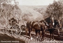 Will the Ellwood Queen Stay Standing?