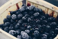 Settlement Reached with Santa Maria Fruit Processing Company ‘Titan’