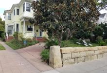 A Very Special Wedding Present