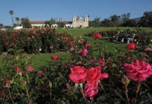 Parks and Recreation Is Calling All Gardeners for Rose Pruning Day