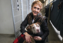 In the Doghouse: 13 Employees Quit Santa Barbara Humane Society