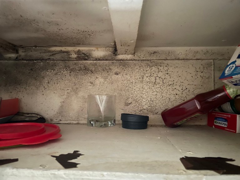 Santa Barbara Eastside Tenants Battle Landlords over Black Mold