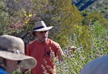 Lanny Kaufer Finds Healing in Nature