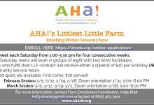 AHA!’s Littlest Little Farm﻿