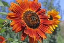 Savoring Santa Barbara’s Seasons