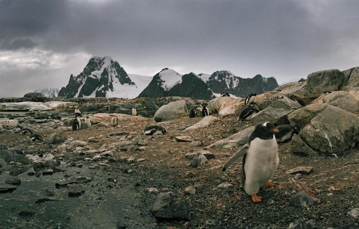 Antarctica Is Like No Other Place on Earth - The Santa Barbara