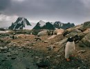 Antarctica Is Like No Other Place on Earth