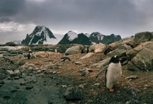 Antarctica Is Like No Other Place on Earth