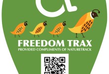 NatureTrack @ Goleta Beach Park with Freedom Trax