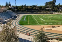 Poodle | Super Bowl Reveries: Let Me Watch in Peace