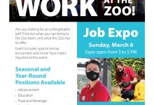 Job Expo – Santa Barbara Zoo