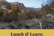 Lunch & Learn: Fire Ecology w/ Burn Cycle Project