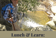Lunch & Learn: Herbs W/ Lanny Kaufer