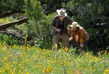 Free Senior Day at Santa Barbara Botanic Garden