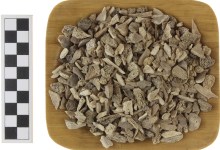 Full Belly Files: Indigenous Foodways of the Mission Era