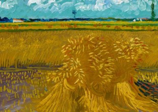Pano: Making the Most of a Great Museum in Santa Barbara with Van Gogh