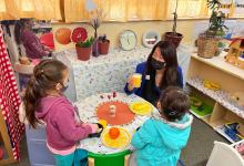 Education in the Pandemic Years