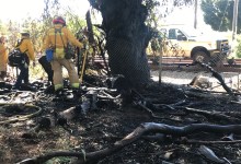 Fire Breaks Out Near Castillo and Highway 101 in Santa Barbara