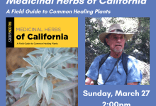 Book Talk with Herbal Educator Lanny Kaufer