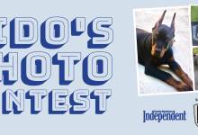 Fido’s Photo Contest 2022