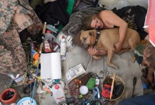 The News Letter | What Brought Us to This Bold New Homeless Plan?