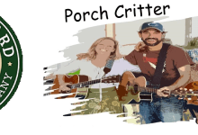 Porch Critter at Night Lizard