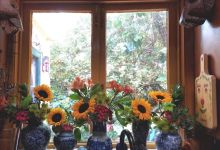 The Home Page: A Sunny Home, Fall Feels, and More