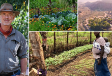International Ecological Resilience: Permaculture